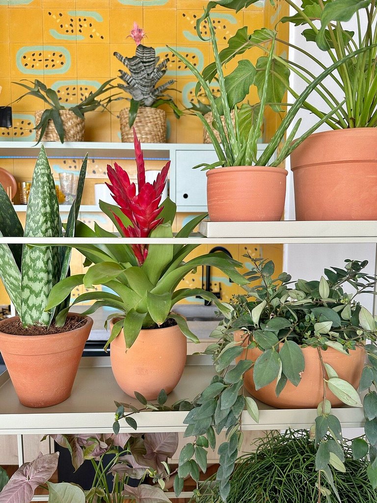 Profana@Último and. Copan por @yanaina_interiores