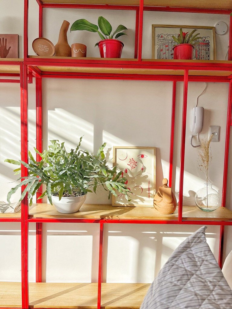 Studio em vermelho - Copan por @yanaina_interiores