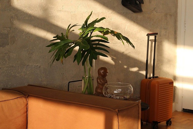 No topo do Copan-por @catenarch