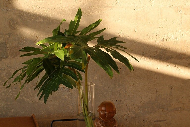 No topo do Copan-por @catenarch